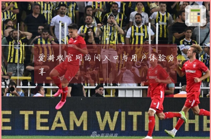 爱游戏官网访问入口与用户体验分享